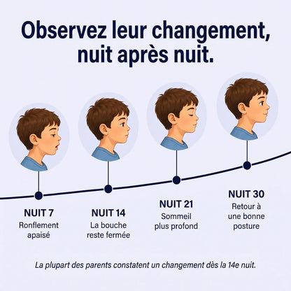 Progression nuit 7, 14, 21 et 30